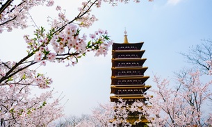 南京牛首山文化旅游区：自然与人文交织的灵秀之境