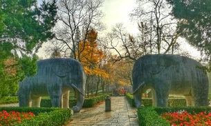 石象路：穿越历史与自然的诗意之路